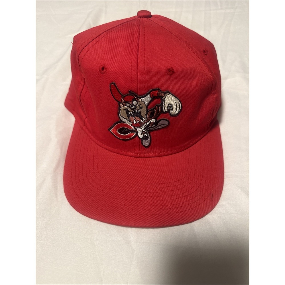 TAZ‎ Tasmanian Devil Adjustable Hat Cap Chicago Cubs View vintage